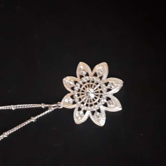 Jewelry - Sparkly pendant on long chain.